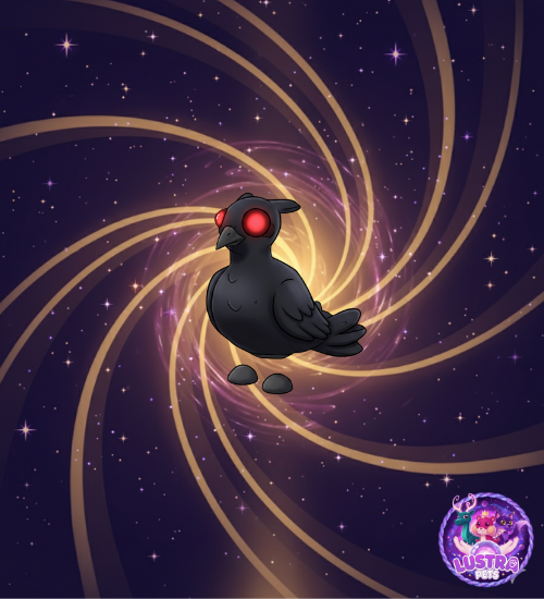 Black Chested Pheasant