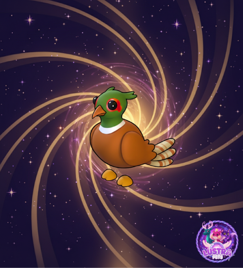 Brown Chested Pheasant