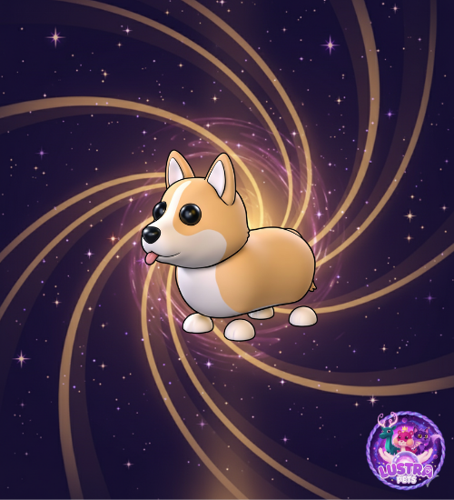 Corgi